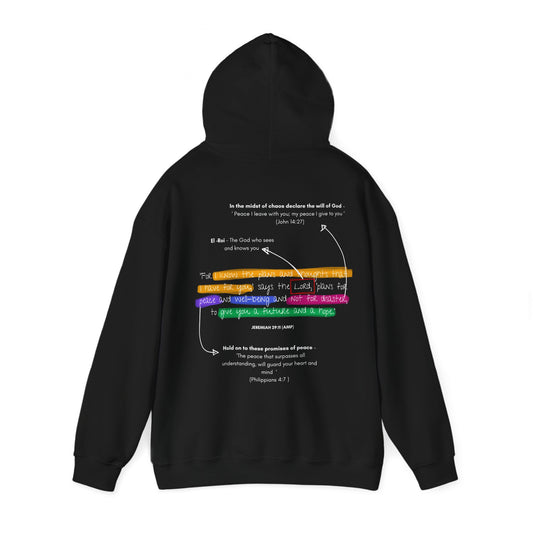 Jeremiah 29:11 Hoodie